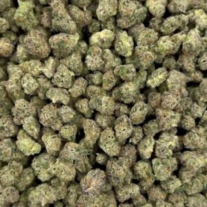 Super Runts smalls (ZaZa smalls)