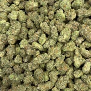 Sugar Piss Indoor Smalls