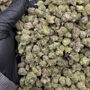 Lemon Cherry Gelato Smalls