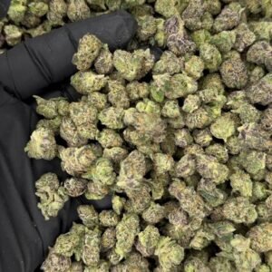 Za Latto Exotic Candy Smalls