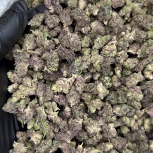 Pink Runts exotics smalls