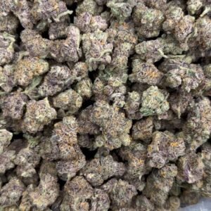 Exotic Gary Payton Mediums