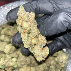 Golden gods 🔥🔥