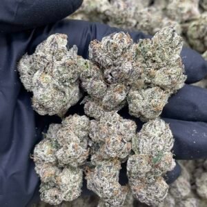 Zit Zat ⛽️⛽️