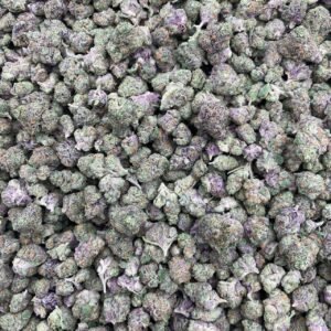 BUBBLEGUM GELATO - INDOOR SMALLS 🍨   INTOWN