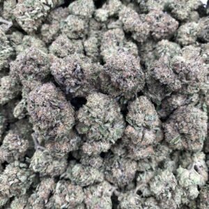 AMBROZIA 🌸  INTOWN