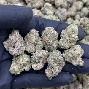 Royal Runtz KNF Meds