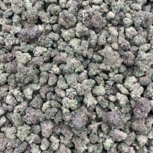 BISCOTTI CREAM - INDOOR SMALLS 🍦