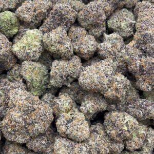 Gumbo  Indoor 🔥 🍭 👃   🏠