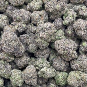 Grape Runtz  Indoor 🔥 🍭 👃