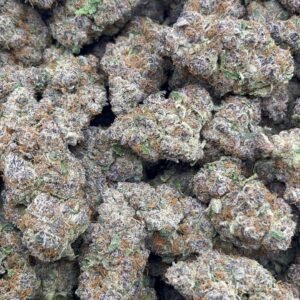 Glitterbomb Indoor 🔥👃