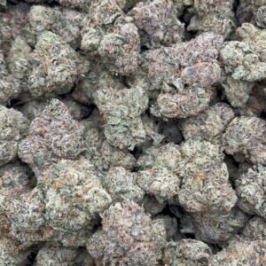 Super Z Indoor 10/10 🍭 👃