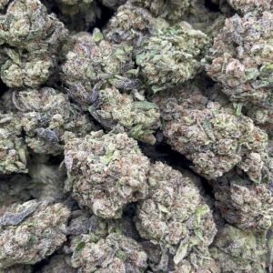 Gumbo  Mixed Light 🔥👃
