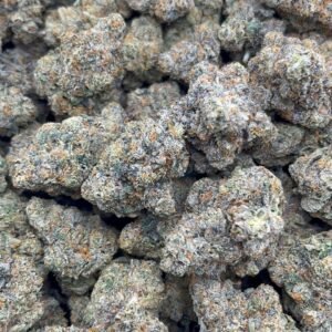 Purple Dream  Indoor 🔥👃