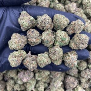 PERM PARADISE  -INDOOR MEDIUMS 🍭🔥