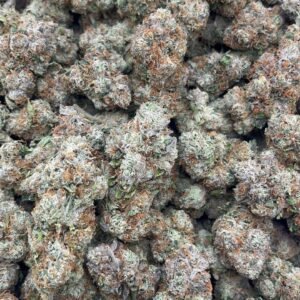 Slurty Indoor 🔥 🍭 👃