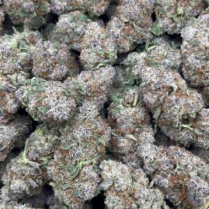 Apple Fritter Indoor 10/10 👃