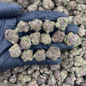 FROSTED TRUFFLEZ - INDOOR MEDIUMS 🍬🍭🔥