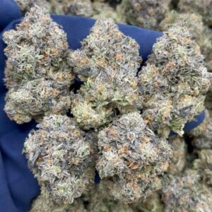 Kush Mintz x Skittlez By Parlay