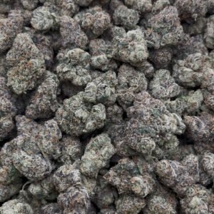 Cotton Candy Popperz Indoor 10/10 🍭👃