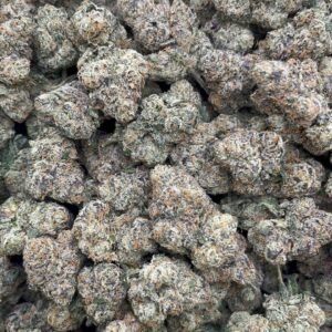 Trump Runtz  Indoor 🔥👃
