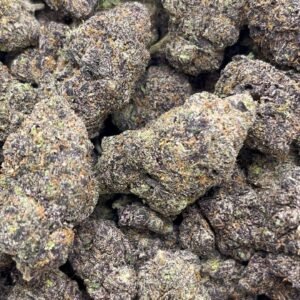 Mochi Runtz Indoor