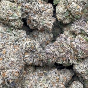 White Banana Runtz  Indoor 🔥🍭👃