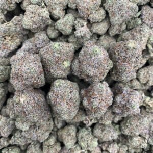 SUGAR CANDY  - INDOOR 🍭🍬