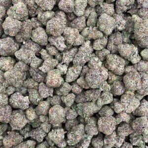 ANIMAL COCKTAIL  - INDOOR MEDIUMS 🍭🦁