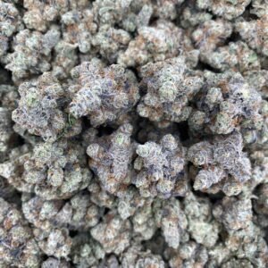 CANDIED MANGO  - INDOOR 🍭🥭