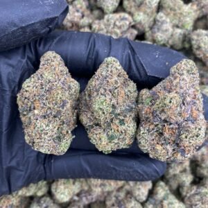 UNCLE SNOOP  - INDOOR 🔥