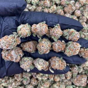 LEMON TREE  - SMALLS 🌳