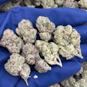 Candy Gelato Meds