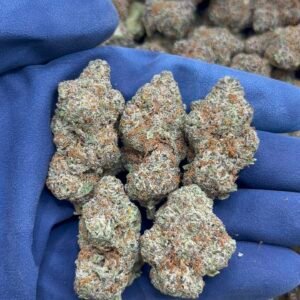 Forbidden Fruit