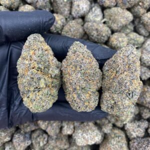 ATOMIC COOKIES  🔥🔥🍬⛽️