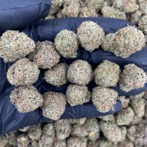 LCG  - MEDIUMS 🍋🍒