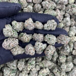 NUCLEAR SLUSHIEZ  - EXOTICS MEDIUMS ☢️