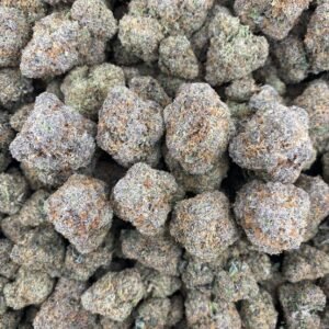 SUPER RUNTZ  - INDOOR 🔥🔥